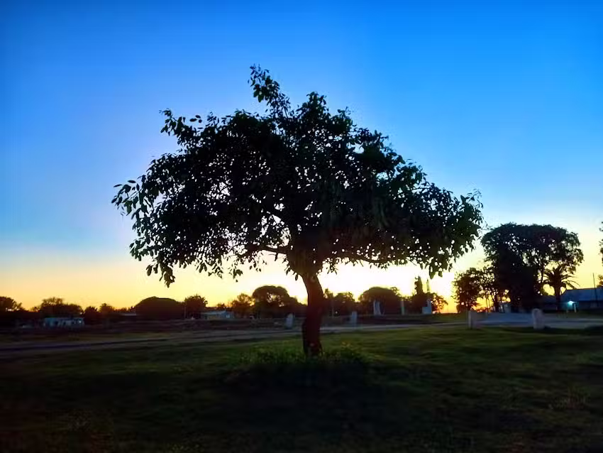 Familia Pesoa-Cordoba