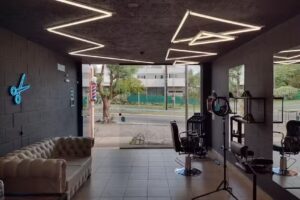 Fava barber&iacute;a