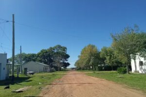 Floor Nails Semis 🏻