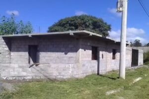 Flor alisados con laser