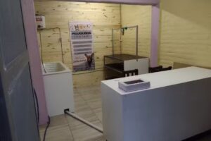 Glamour canino peluquer&iacute;a