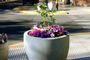 Gonzalo Germ&aacute;n Estilista Peluqueria