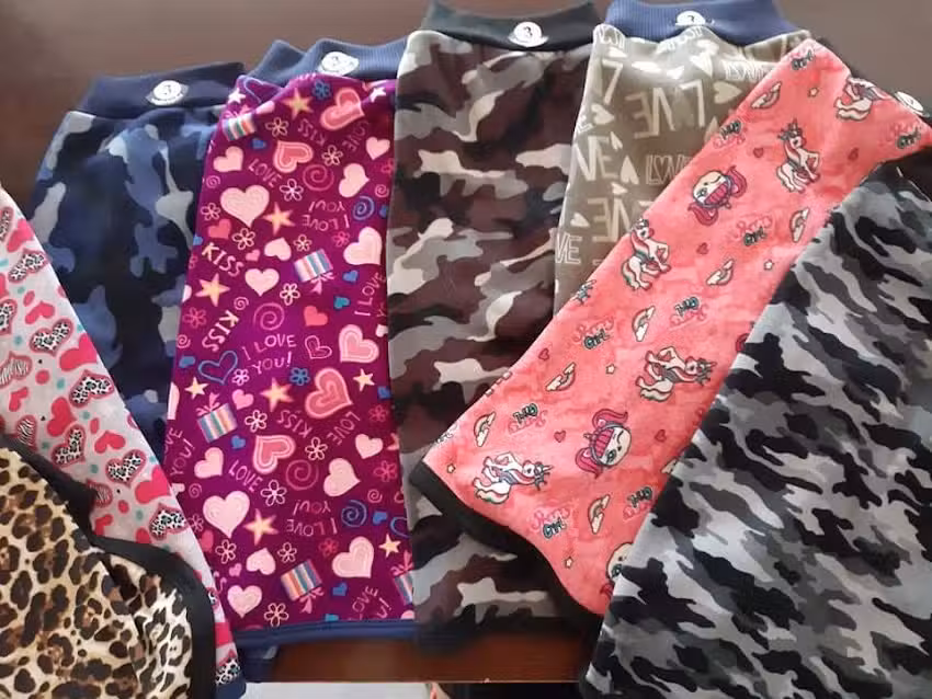 Guapitos Peluqueria Canina