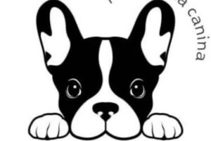 Hocicos Felices Peluqueria Canina y Pet Shop