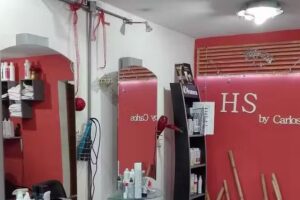 HS by Carlos Peluquer&iacute;a Unisex