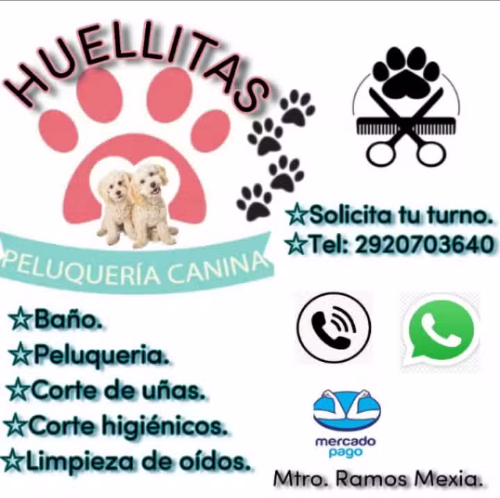 Huellitas
