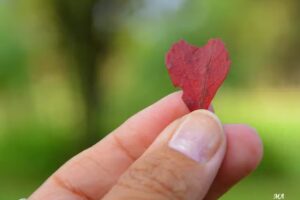 Instituto Leonor Estética