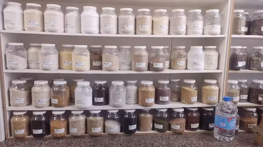 Kinesiolog&iacute;a