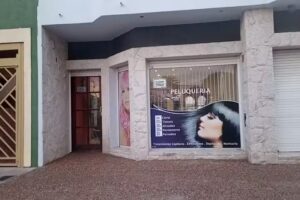 La Peluquer&iacute;a