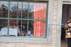 La Perlita Peluqueria Canina