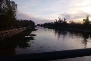 Lady Barber & Peluquer&iacute;a