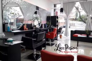 Loca Pasi&oacute;n, tu Imagen Personal. Peluquer&iacute;a.