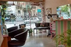 Magnolia La Pelu de Mica