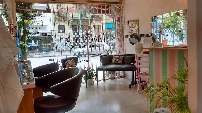 Magnolia La Pelu de Mica