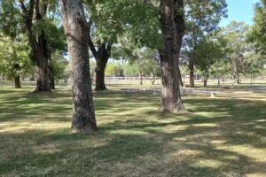 Magnolia Spa Holístico