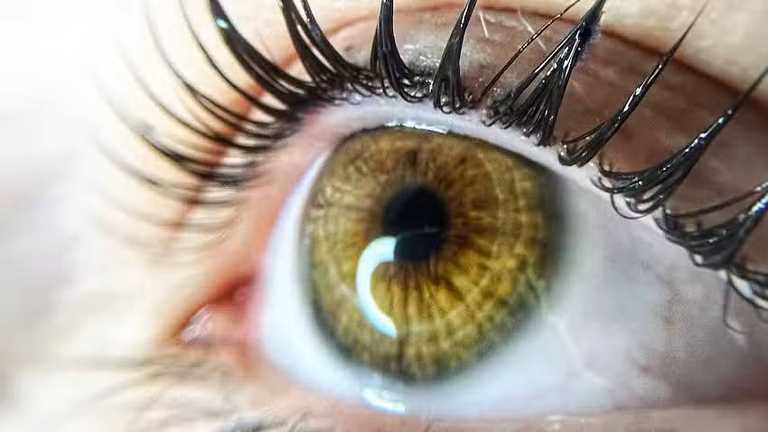 MAQUI Estudio de Belleza (&uacute;nicamente con turno)