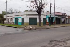 Mar&iacute;a Fernanda Atelier