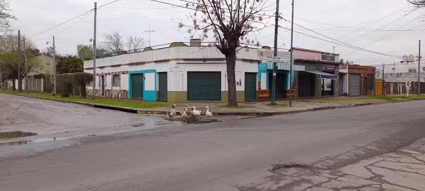 Mar&iacute;a Fernanda Atelier