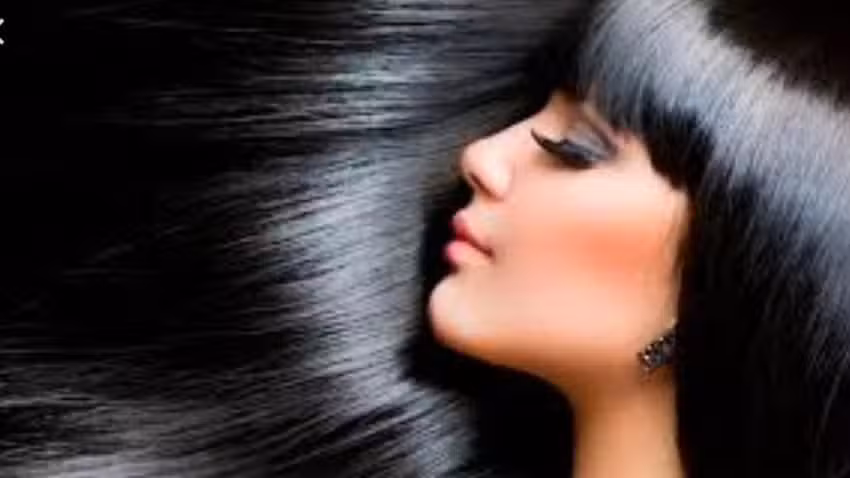 Miguel Aciar Peluquer&iacute;a