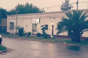 Mily Estilista Creaciones Urbanas