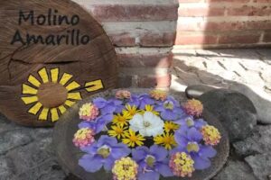 Molino Amarillo