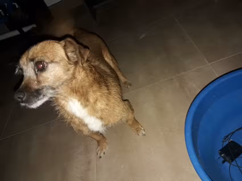 Mujeres Bellas Depilacion