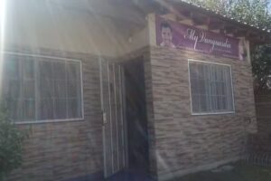 Myvanguardia Estilista Unisex