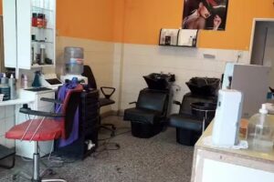 &ldquo;Nuevas Ra&iacute;ces&rdquo;