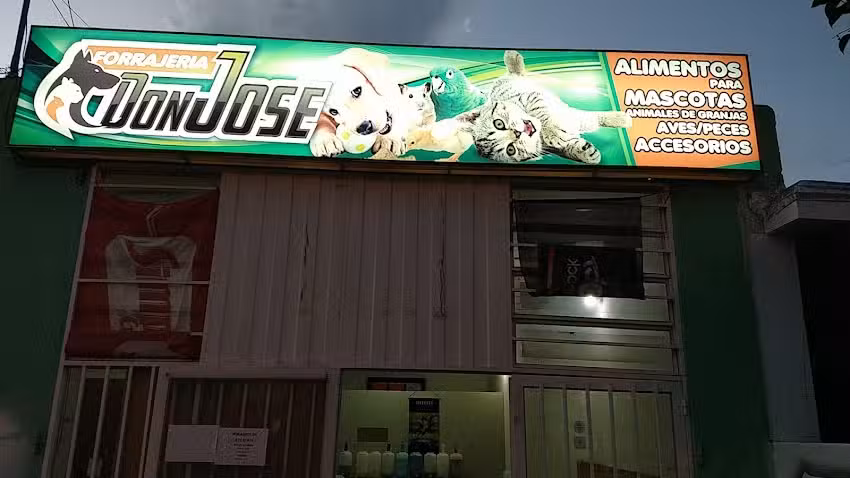 ONE EST&Eacute;TICA VEHICULAR