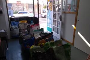 Otto & Co Pet Boutique y Peluquer&iacute;a Canina