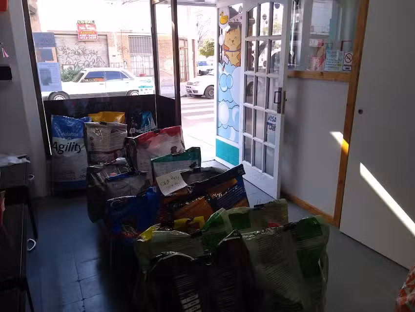 Otto & Co Pet Boutique y Peluquer&iacute;a Canina