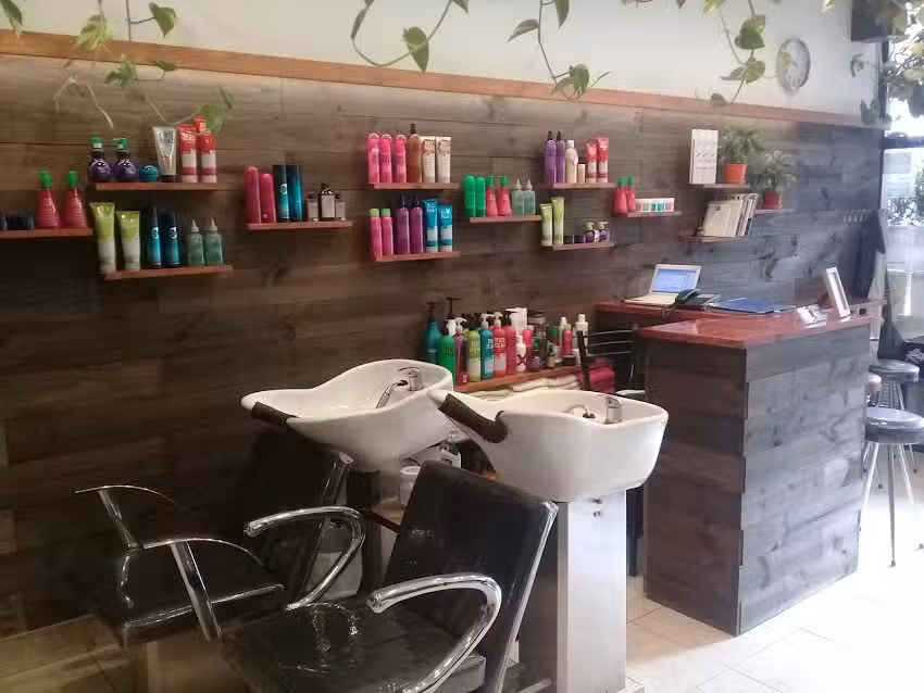 Pablo Lenci Peluquer&iacute;a