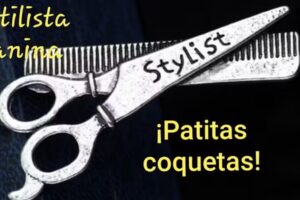 Patitas coquetas peluqueria canina