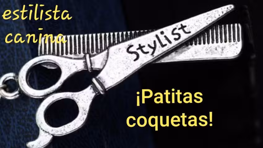 Patitas coquetas peluqueria canina