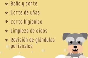 Patitas Sucias &ndash; Peluquer&iacute;a canina