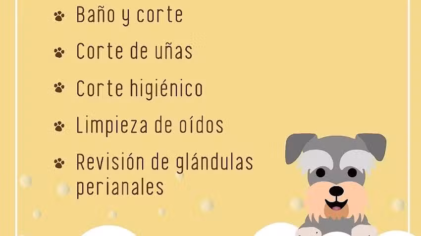 Patitas Sucias &ndash; Peluquer&iacute;a canina