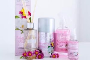 Pc Belleza y Bienestar