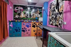 Pelu canina HUELLITAS