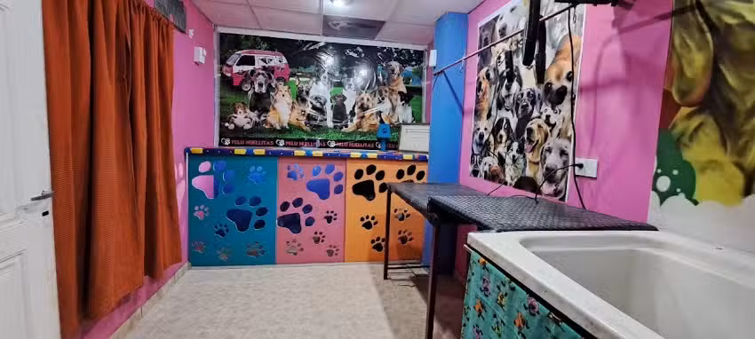 Pelu canina HUELLITAS