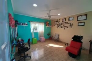 Peluquer&iacute;a Alipe