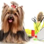 Peluquer&iacute;a Canina &ldquo;Amor Perruno&rdquo;