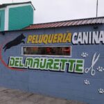 peluqueria canina del maurette