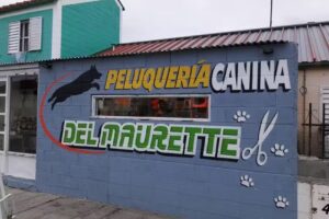 peluqueria canina del maurette