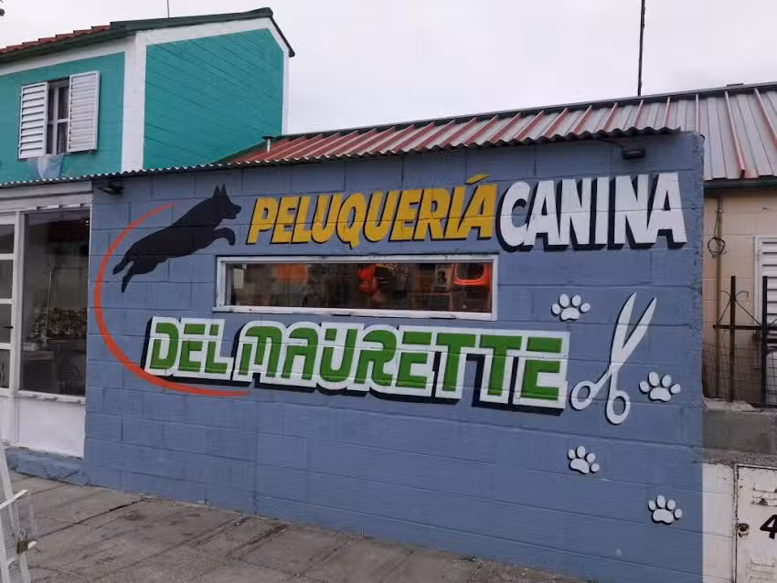 peluqueria canina del maurette