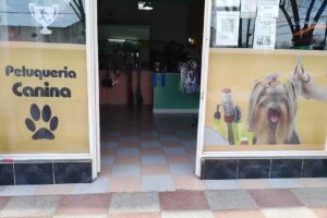 Peluquer&iacute;a canina Estilo Can