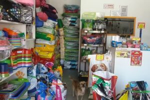 Peluquer&iacute;a canina LA MANADA.Tienda de mascotas