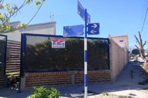 Peluquer&iacute;a canina Luli🐾🐾🐾🐾