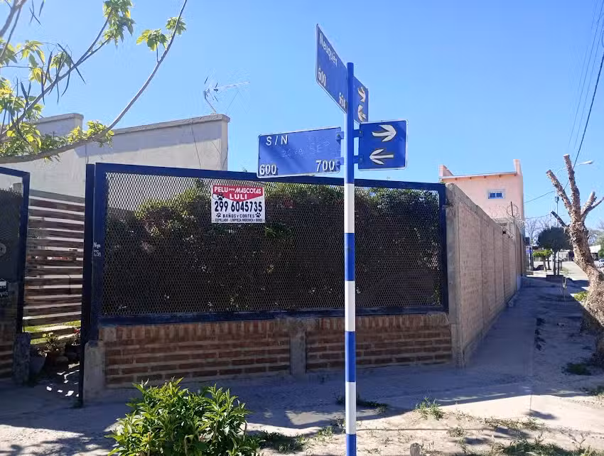 Peluquer&iacute;a canina Luli🐾🐾🐾🐾