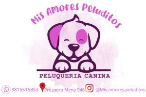 Peluquer&iacute;a canina &ndash; Mis Amores Peluditos &hearts;️🐩🐕💕🐾
