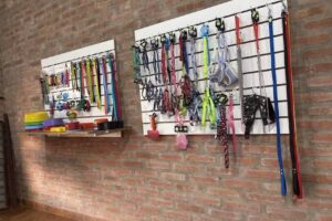 Peluquer&iacute;a canina Mor&iacute;.rex